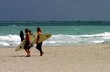 surf surf