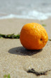 orange sur place orange sur place