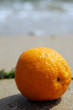 orange sur place orange sur place