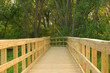 wooden path