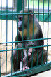 mother and child
