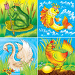 frog, gold fish, swan, the hen