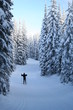 ski heaven