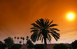 remparts de marrakech