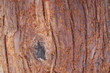 wooden background # 4