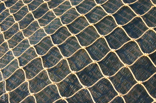 network