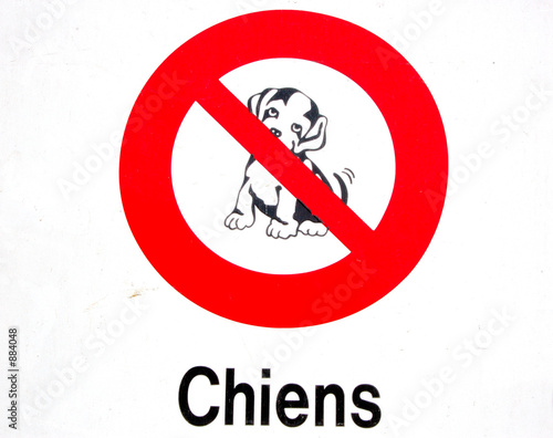 interdiction chien