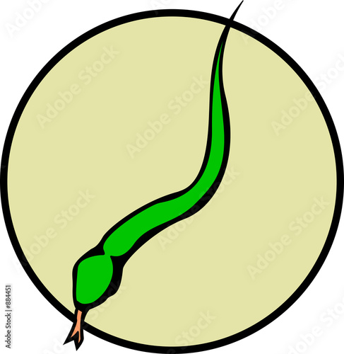 Illustration: snake snake
