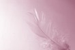 little girl feather