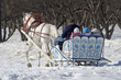 winter holiday winter holiday