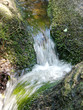 wasserbach wasserbach