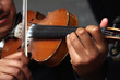 violin