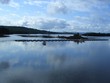 irland / ireland