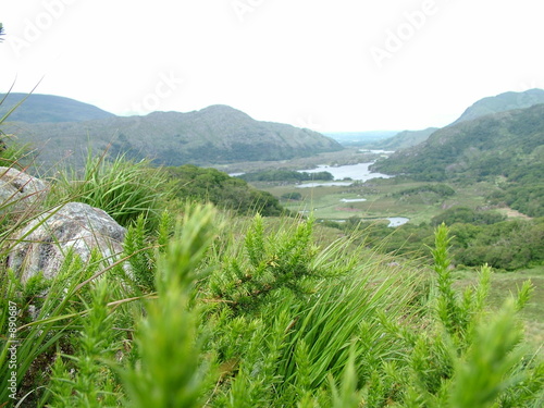 irland / ireland