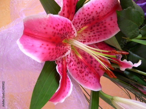 lys