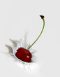 cherry splash