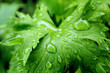 ecologie nature ecologie nature