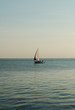 ship sailing in the sea