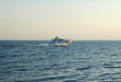 ship sailing in the sea