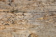 barn wood texture