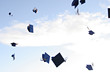 mortarboards