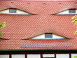 sehendes dach