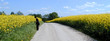 weg im rapsfeld