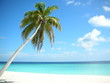 Paradise