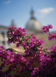 rome skyline