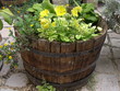 Photo en ligne au meilleur prix jardinage