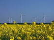 raps und wind raps und wind