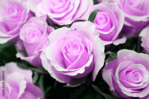 rosen