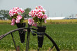 country yard art