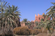  marrakech palmeraie