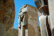 faraon