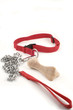 dog leash and bone