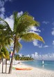 caribbean beach caribbean beach