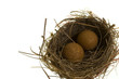 monster nest