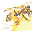 abeille aquarelle