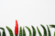 dare to be different - leadership