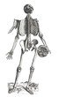 homosapiens