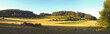 waldpanorama