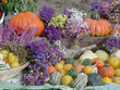 courges, potirons, potimarrons et autres cucurbita