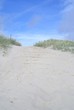 Foto: dünenweg dünenweg
