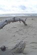 Foto: strand strand