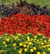 blumenflagge