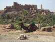 maroc2