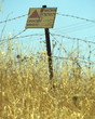 israel's landscape