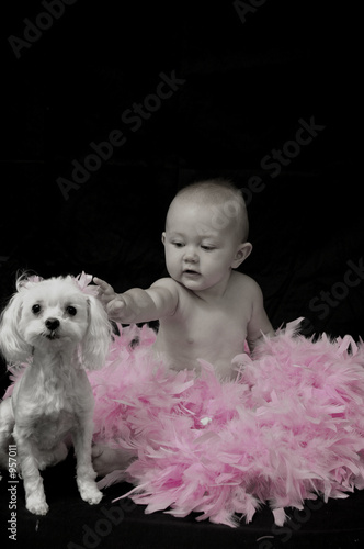 puppy in pink