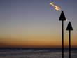 landscape torches landscape torches